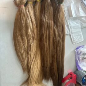 High Spec Straight Color Hair (Extra Full, Top Quality) #16 Ash, #10, and #10 Ash Options